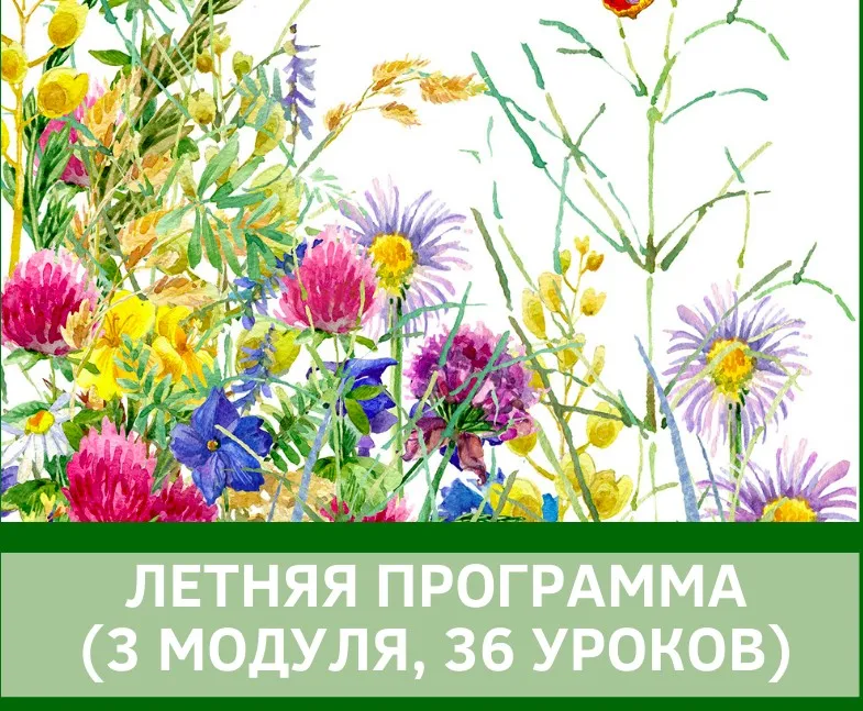 [English4mybaby] Летняя программа 2020 (Надежда Корн)