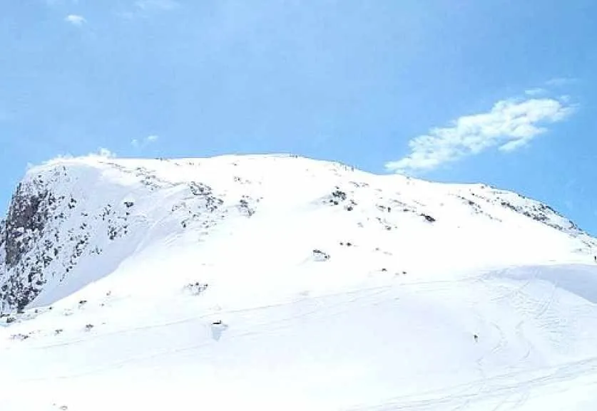 Костный лосьон рейки (Стюарт Фаркарсон)