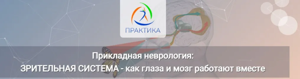 [Центр Практика] Прикладная неврология: Зрительная система - как глаза и мозг работают вместе (Мария Недре)
