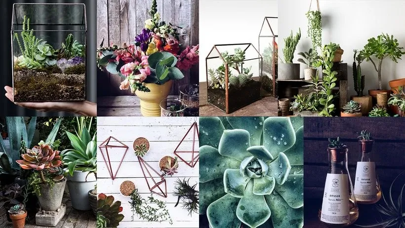 [Domestika] Дизайн и создание ботанических композиций | Design and Creation of Botanical Compositions (Compania Botanica)