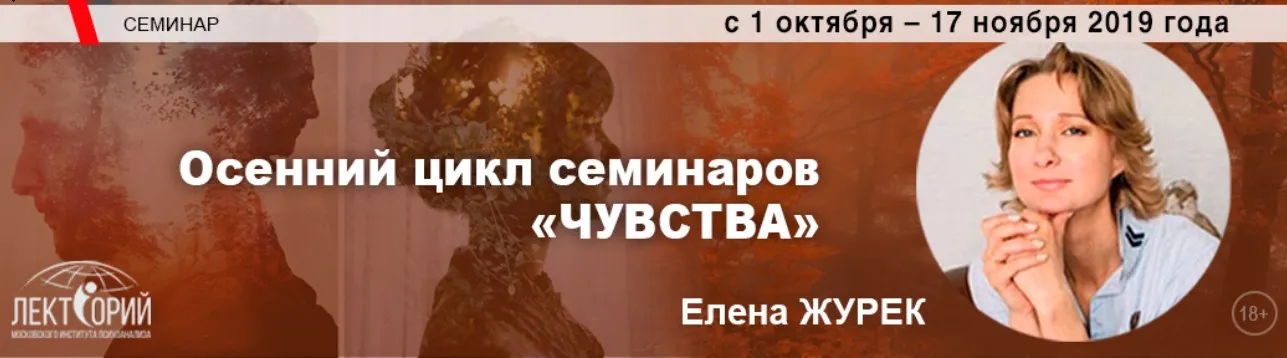 Депрессия. Стадии, симптомы, техники работы (Елена Журек)