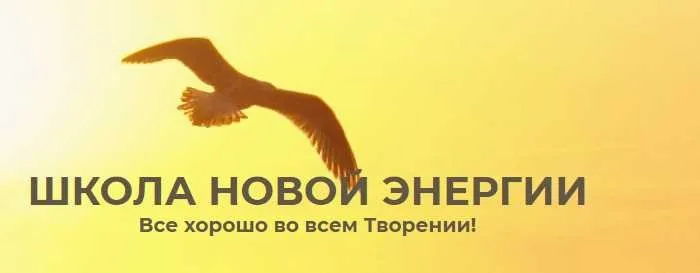 Новая энергия в народном хозяйстве (20). Детокс 2020 (Ольга Николаева)