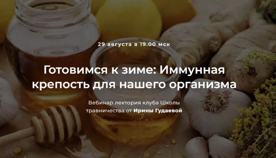 Готовимся к зиме: Иммунная крепость для нашего организма (Ирина Гудаева)