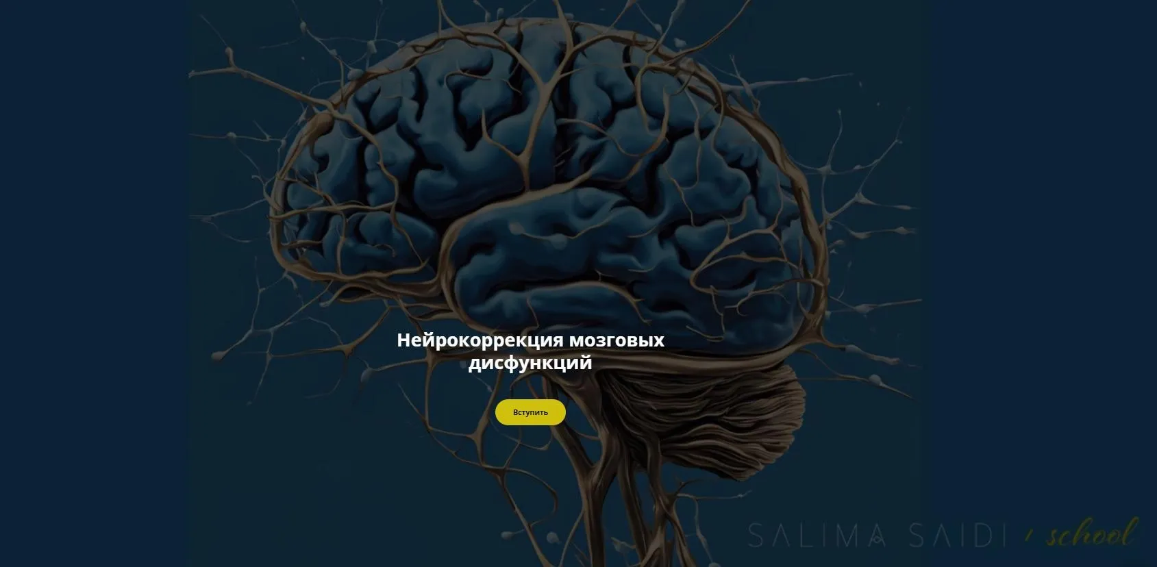 Нейрокоррекция мозговых дисфункций (Салима Саиди)