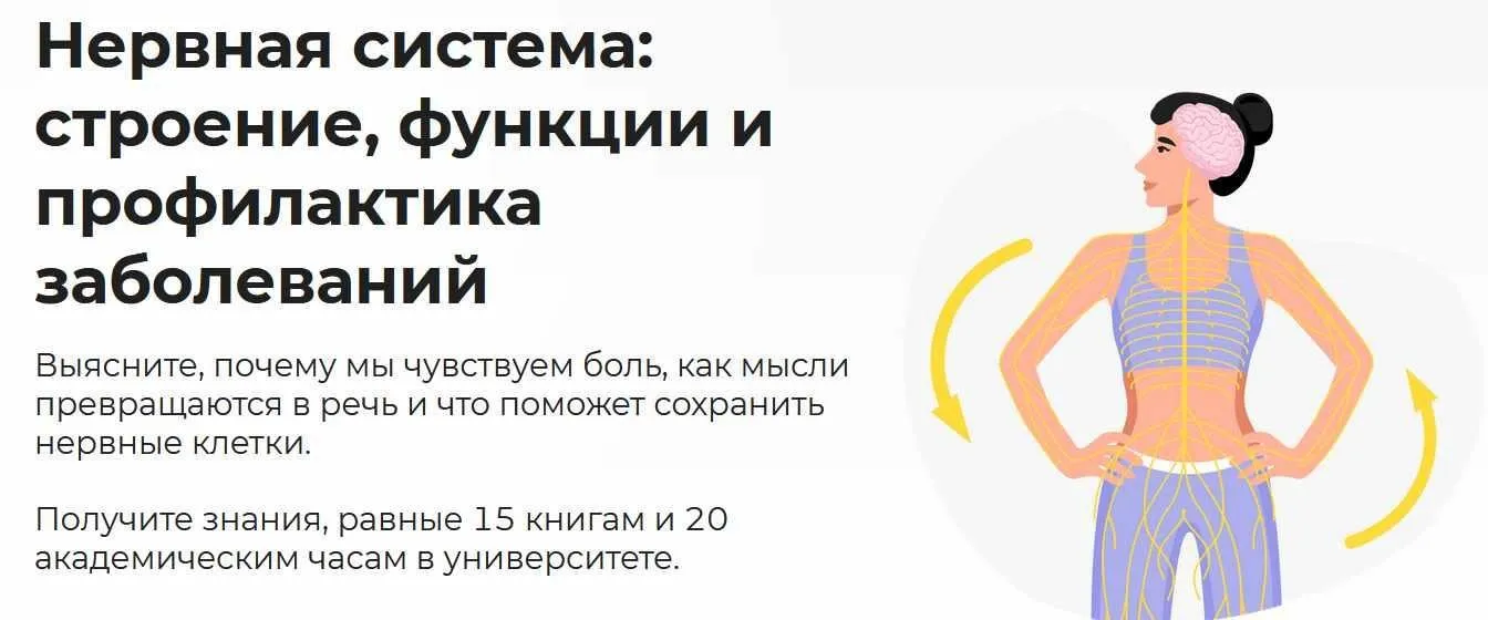[Правое полушарие интроверта] Нервная система: строение, функции и профилактика заболеваний (Евгений Галицкий)