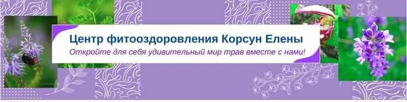 [Fitomama] Травы при остеохондрозе, позвоночных протрузиях и грыжах (Елена Корсун)