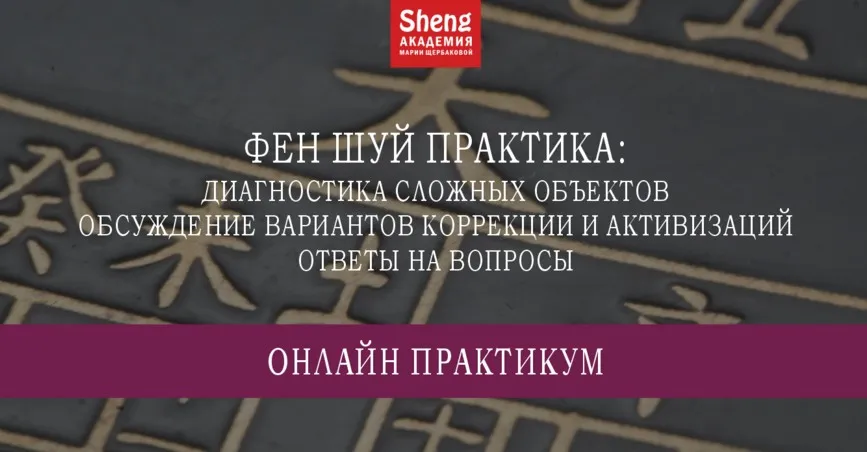 [Китайская метафизика] Фен шуй практика. Диагностика сложных объектов, обсуждение вариантов коррекции и активизаций (Мария Щербакова)