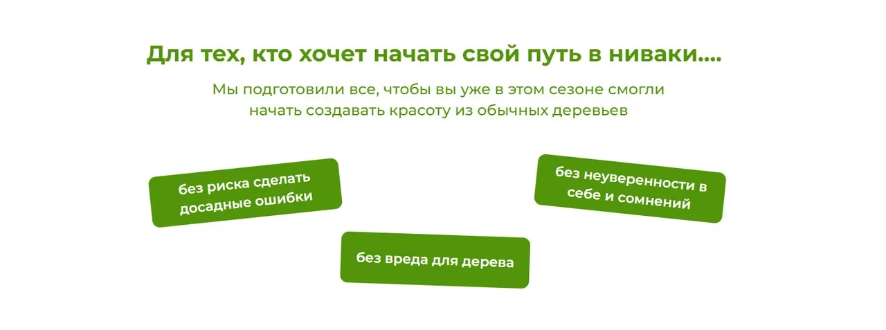 Nivaki 3 Дерево как произведение искусства. Пакет Будущий мастер (Андрей Дарусенков)