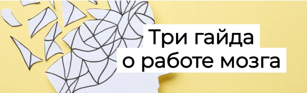 [Humberto.2.0] Три гайда о работе мозга  (Елена Иванова)