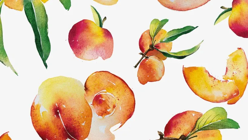 [Domestika] Flavorful Food Illustration with Watercolor / Аппетитная food-иллюстрация акварелью (Enya Todd, Энья Тодд)