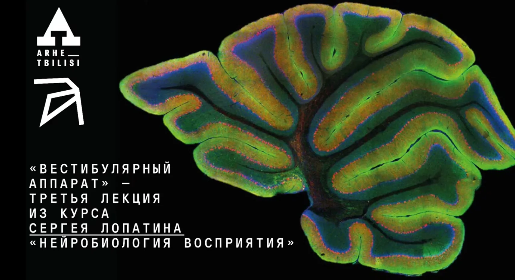[Архэ] Нейробиология восприятия. Вестибулярный аппарат. Лекция 3 (Сергей Лопатин)