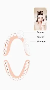 Зубы (Лена Ангел)