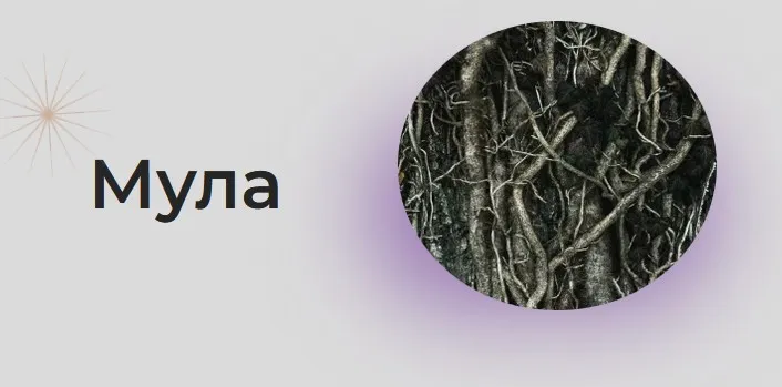 [Astrogreen] Накшатра Мула (Анна Воробьева)
