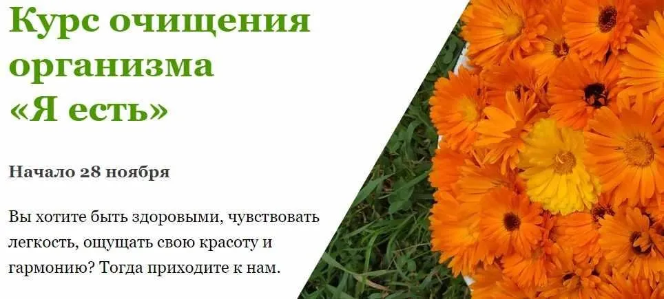 Курс очищения организма «Я есть» (Наталья Малыхина)