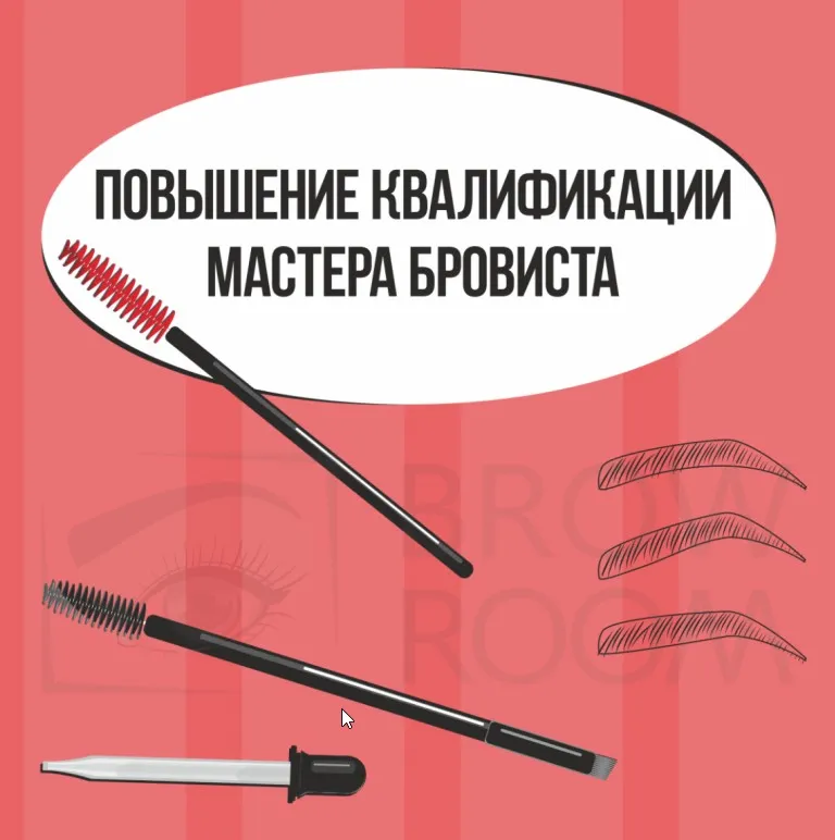 [emi-school] Мастер Бровист. Повышение квалификации (Екатерина Мирошниченко)