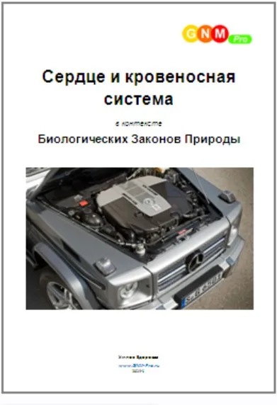 [Умное здоровье] Сердце и кровеносная система в контексте Биологических Законов Природы