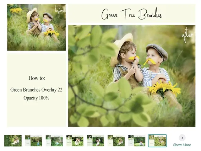 [Creative Market] 120 Green Tree Branches Overlays