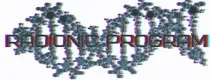 [ETpro] Radionic program Hz. Моя вторая половинка