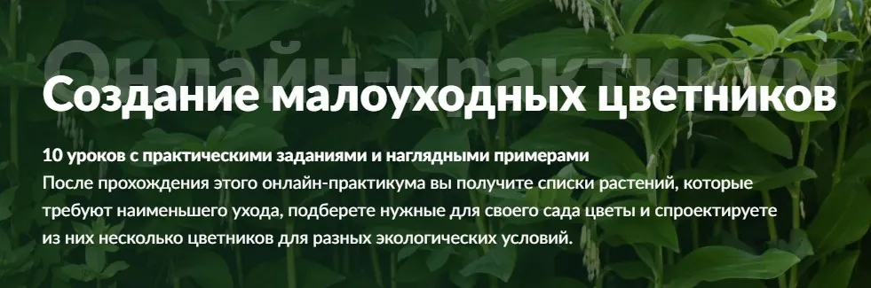 [Школа Ольги Красулиной] Создание малоуходных цветников (Ольга Красулина)