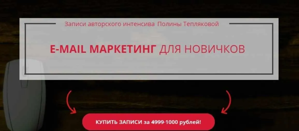 E-mail маркетинг для новичков (Полина Теплякова)