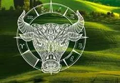 Астрология бизнеса и профессии (Евгений Волоконцев)