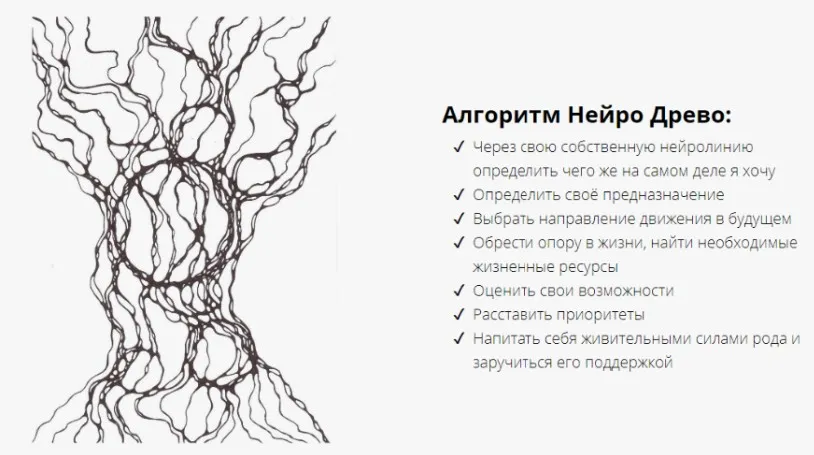 Нейро Древо - Кто Я. (Ольга Нуржанова)
