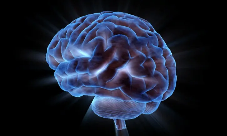[Sigh Energy] Когнитивное обучение | Cognitive Leaning Powerful Plus +11x (Extra Strong)