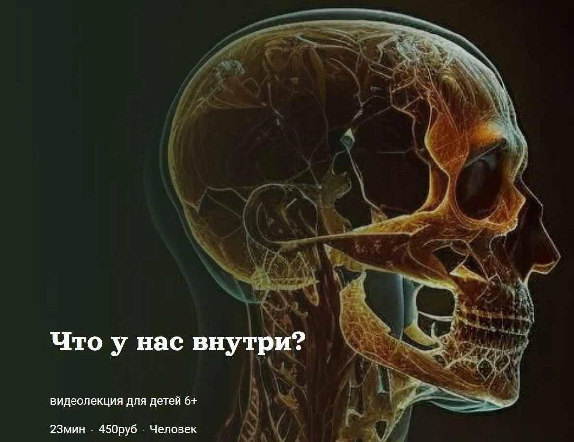 [Детский лекторий] Что у нас внутри? (Александр Толмачев)