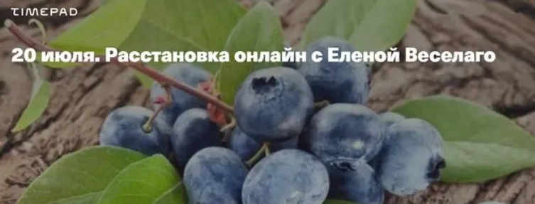 20 июля. Расстановка онлайн (Елена Веселаго)