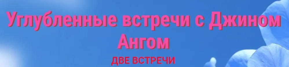 Углубленные встречи с Джином Ангом. Две встречи (Джин Анг)
