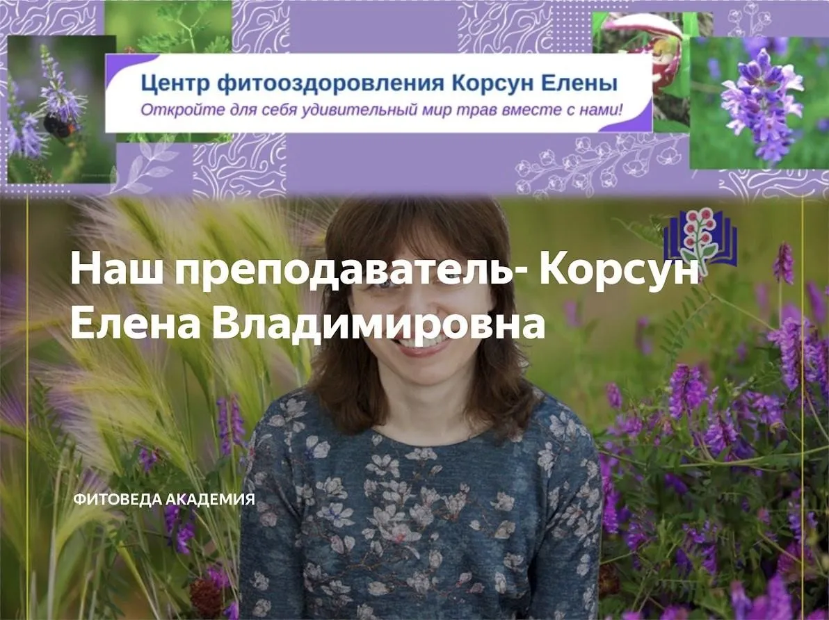 Травы для иммунитета (Елена Корсун)