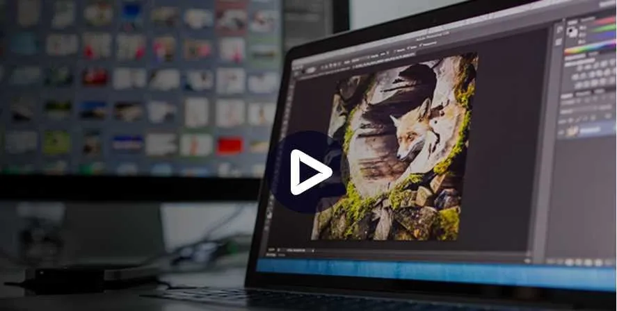 Adobe Photoshop: подготовка изображений к передаче заказчику (Андрей Журавлев)