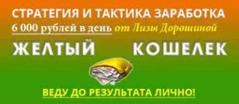 Стратегия и тактика заработка (Лиза Дорошина)