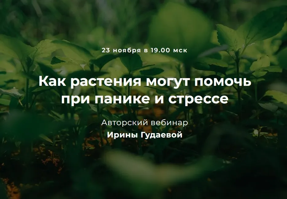 Как растения могут помочь при панике и стрессе (Ирина Гудаева)