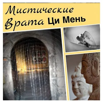 Цu Мeнь oн-лaйн. Миcтичecкиe Врaтa. Бизнес в ЦМ (Николай Плотников)