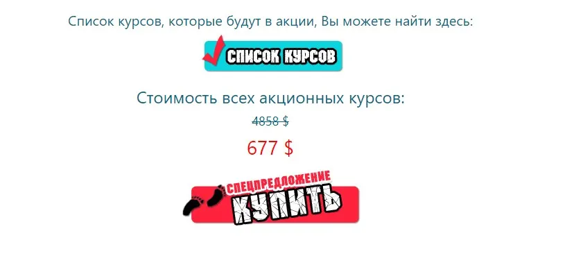 The Final Countdown. Тотальная ликвидация. Тотальная распродажа (Юлия Воронина)