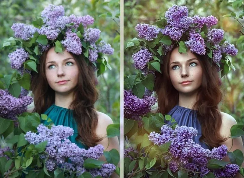 Сирень (Мария Золотова)
