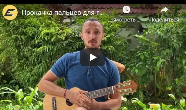 Играй, как профи. Техники растяжки пальцев для игры на гитаре (Роман Ерин)