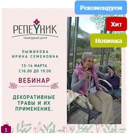 [Репейник] Декоративные травы и их применение (Ирина Пыжикова)
