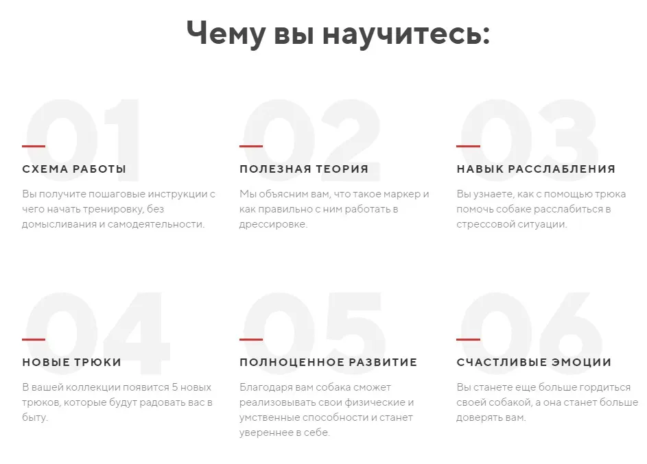 [kinologschool] Трюки 2.0 (Антонина Зимарева)