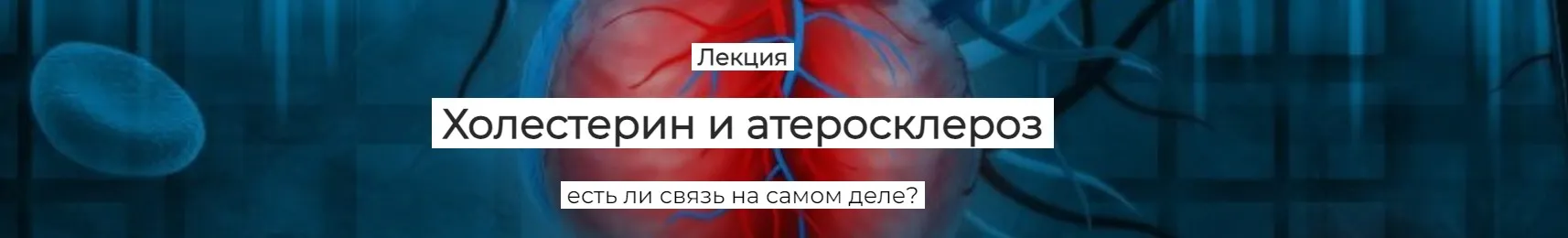 [humberto 2.0] Холестерин и атеросклероз, есть ли связь на самом деле? (Елена Иванова)