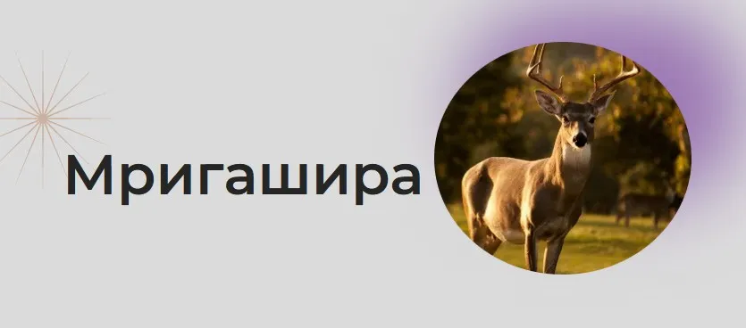 [Astrogreen] Накшатра Мригашира (Анна Воробьева)