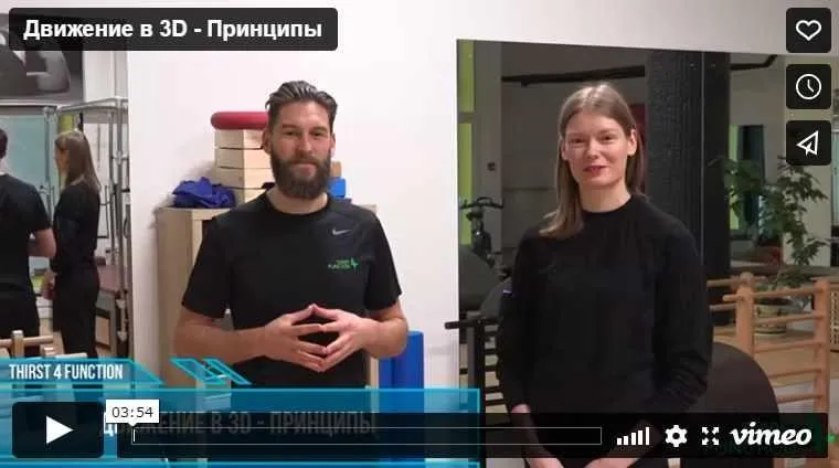 Принципы Движения в 3D (Крис Вилкес)