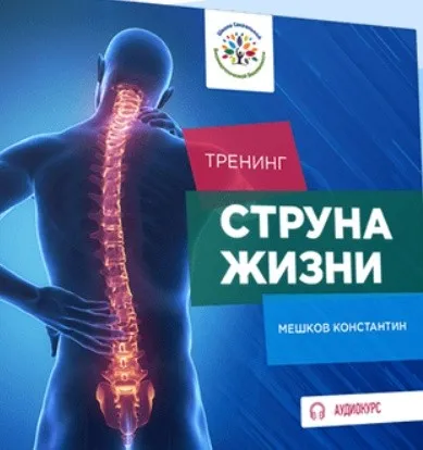 Струна Жизни. Аудиотренинг (Константин Мешков)