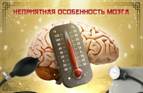 Зрение и мозг (Ирина Старкова)