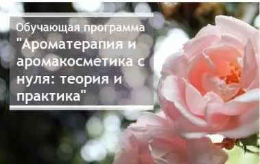 [Aromashka] Ароматерапия и аромакосметика с нуля: теория и практика, 2017