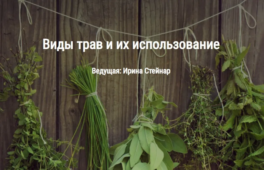 [Книга теней] Виды трав и их использование (Ирина Стейнар)