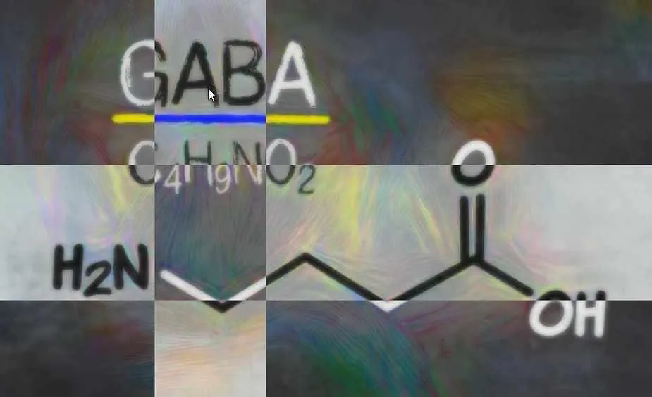 Гамма-аминомасляная кислота (сверхсила)[Sapien Medicine]