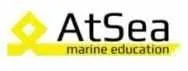 [AtSea] Пакет курсов Wartsila 50 Dual Ffuel Engines (Александр Темников)