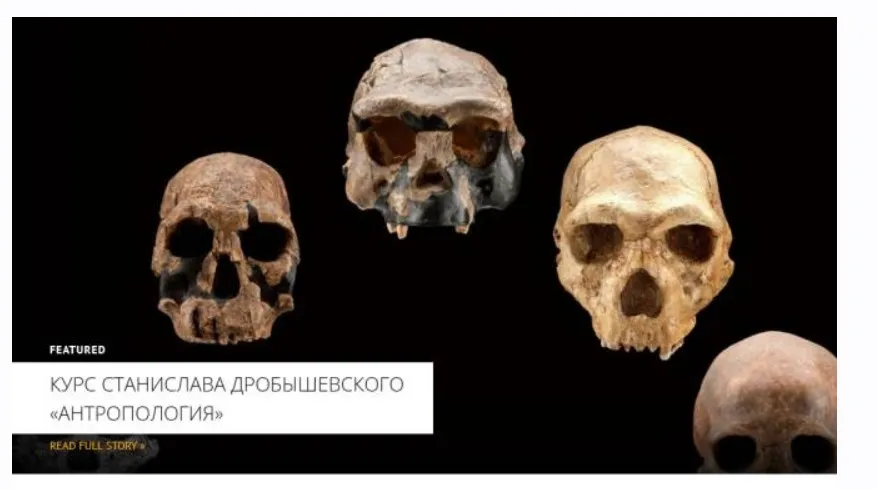 [Архэ] Антропология. Австралопитеки 2024 (Станислав Дробышевский)